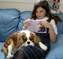 blen on lap of girl reading