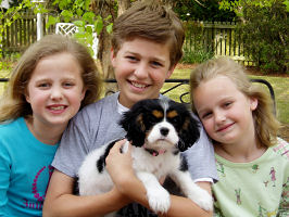 trip pup with 3 children holding